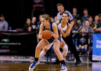 4A Championship - Skyline vs. Burley 005