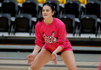 SLCC vs. CSI VB 005