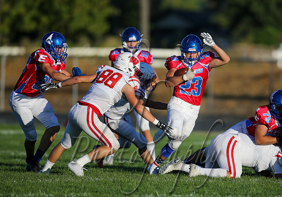 001 09042020 Weiser vs Emmett 014