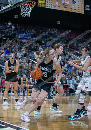 014 02222025 3A Girls State Basketball Parma v Malad 014