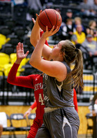 Western Wyoming vs CSI 014