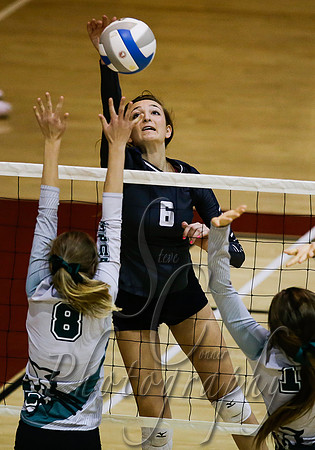 Skyview vs Burley 005