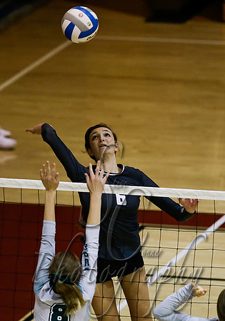 Skyview vs Burley 004
