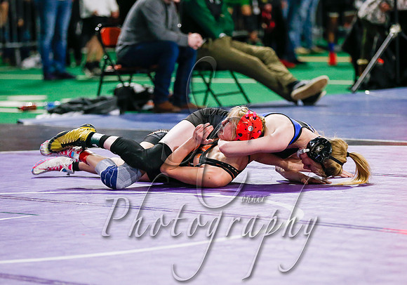 State Wrestling Action Day 2 014