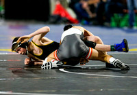 State Wrestling Day 2 015