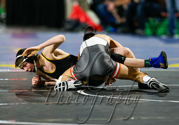 State Wrestling Day 2 015