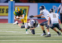 Kuna vs. Borah