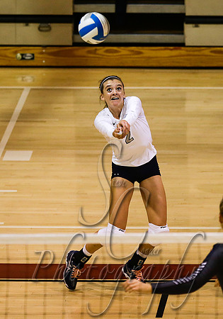 Skyview vs Burley 020