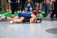 006 State Wrestling friday Evening girls 1_-14