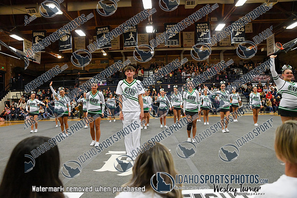 006 Burley Cheer Districts 1 -2