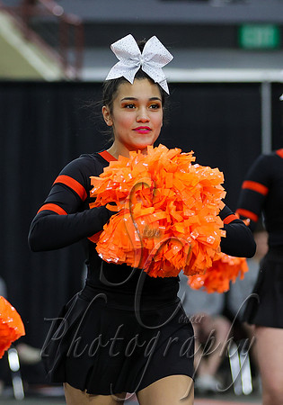 4A State Cheer Championships - Jerome 014