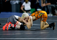 State Wrestling Day 2