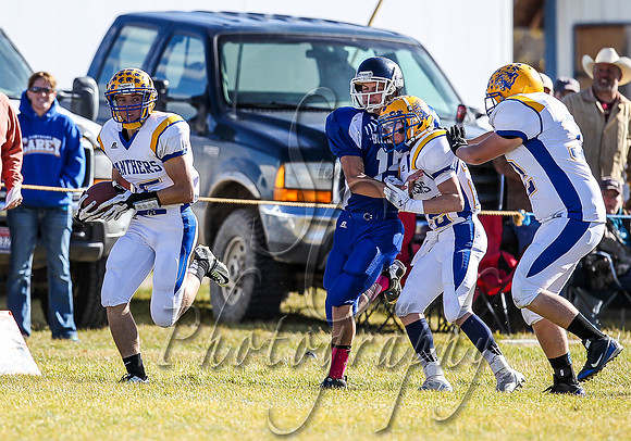 Carey vs Rockland