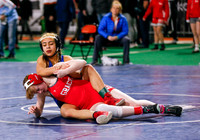 State Wrestling Action Day 2 007