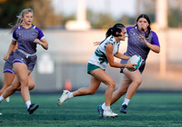 Eagle vs. Rocky Mountain 007