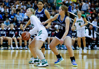 Skyline vs. Blackfoot 007
