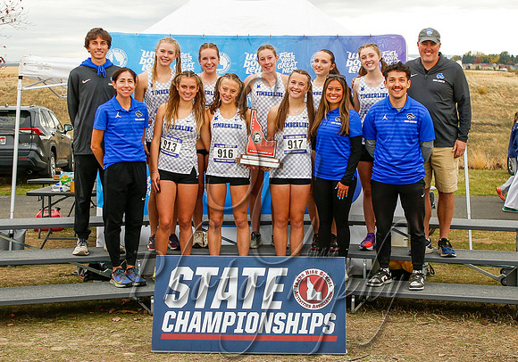 6A Girls State Runner-Up - Timberline