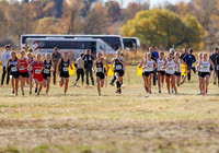 5A Girls Steve 167