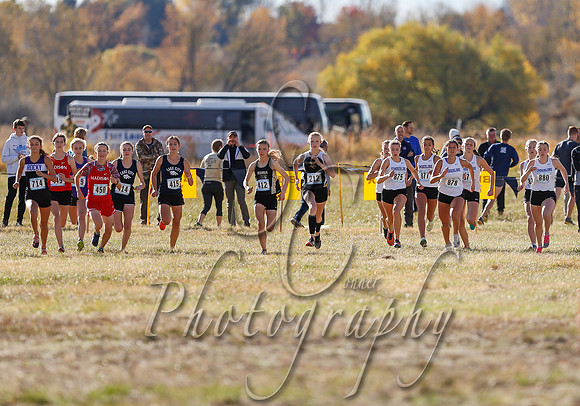 5A Girls Steve 167