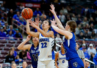 4A Championship - Bear Lake vs. Sugar-Salem 008