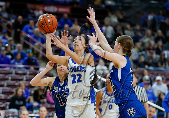 4A Championship - Bear Lake vs. Sugar-Salem 008