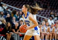 4A Championship - Bear Lake vs. Sugar-Salem 009