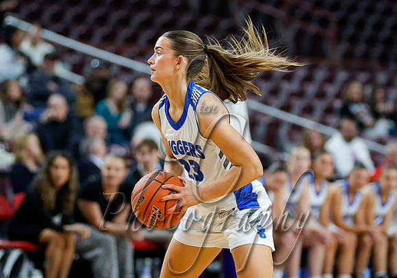 4A Championship - Bear Lake vs. Sugar-Salem 009