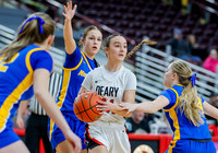 1A Championship - Nezperce vs. Deary 005