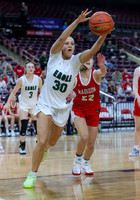 Madison vs. Eagle 004