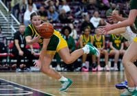 Borah vs. CdA 015