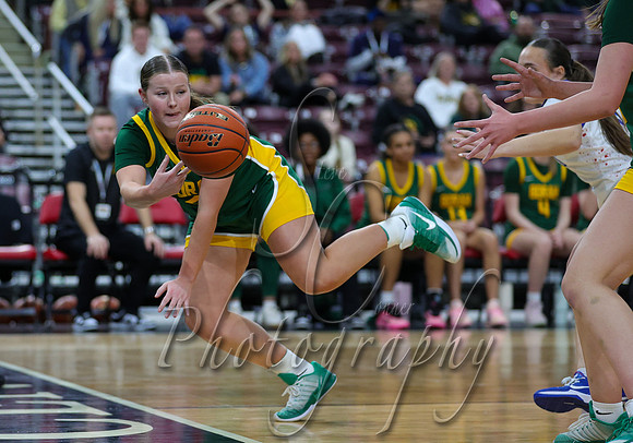 Borah vs. CdA 015