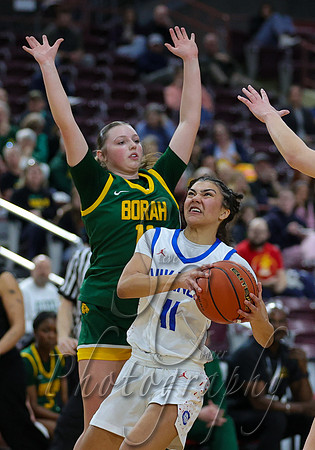 Borah vs. CdA 017