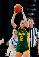 Borah vs. CdA 020