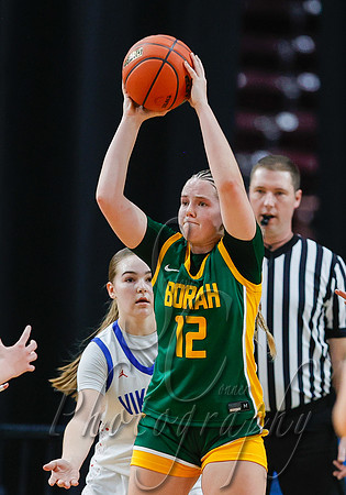 Borah vs. CdA 020