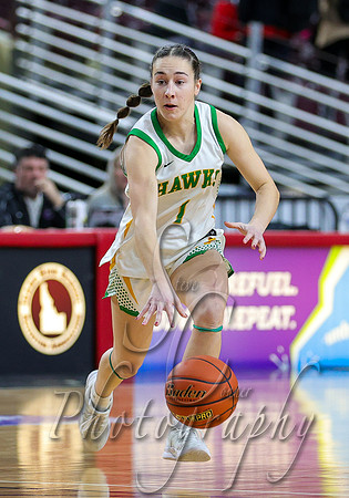 Pocatello vs. Lakeland 003