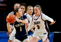 Middleton vs. Rigby 010