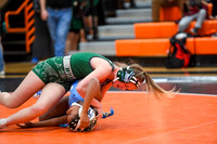 006 Girls wrestling Districts first rounds 1-6