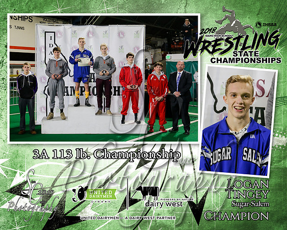 3A 113lb Logan Tingey