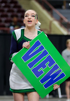 5A State Cheer Championships - Mountain View 005