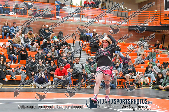 006 Girls wrestling Districts finals and awards 1-12