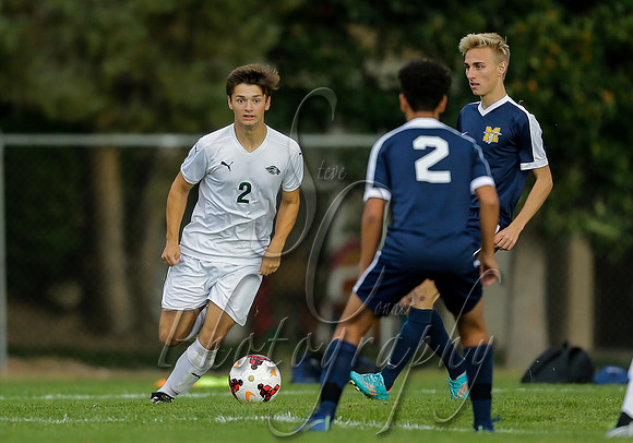 Meridian vs Borah 015