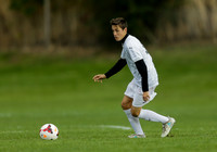 Meridian vs Borah 019