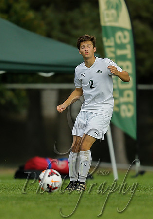 Meridian vs Borah 020