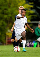 Meridian vs Borah 003