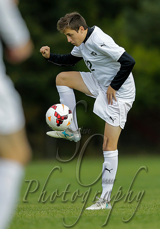 Meridian vs Borah 010