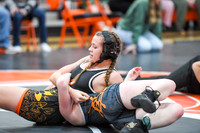 006 Girls wrestling Districts first rounds 1-14