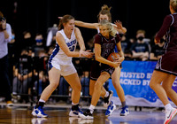Rigby vs Timberline 020