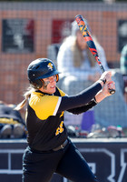 SLCC vs. CSI Softball Game 4  002