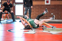 006 Girls wrestling Districts first rounds 1-17