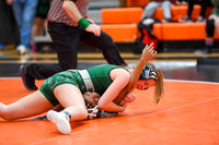 006 Girls wrestling Districts first rounds 1-7